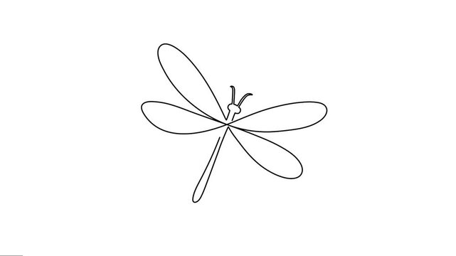 Gragonfly continuous one-line art animation. 