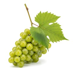 Green grapes with leaf on white background fruit bunch of grapes