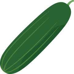 Minimal Flat Vector of Fresh Green Cucumber