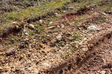 Dry, rocky, uneven terrain with sparse weeds and tire marks. A rugged, earthy landscape showing signs of passage and nature's resilience