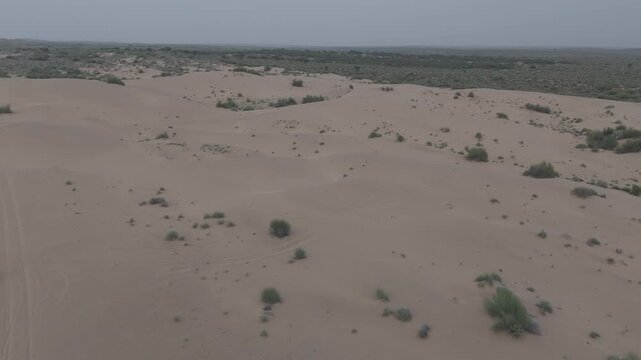 Aerial view of Khuri Sand Dunes near Jaisalmer, Rajasthan, showing dunes blending into green desert vegetation with Khejri, Rohida, Babool & Ker trees extending to the horizon under soft evening light