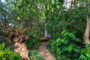 Fototapete bei efototapeten.de bestellen   