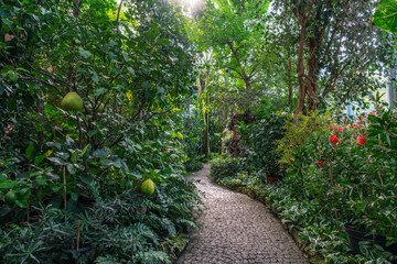 Fototapete bei efototapeten.de bestellen   