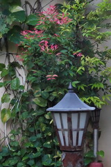 Fototapeta premium Rustic garden lamp with lush green foliage and pink leaves