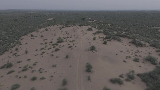 Aerial view of Khuri Sand Dunes near Jaisalmer, Rajasthan, showing winding tire tracks across golden sand dunes surrounded by green desert vegetation with Khejri, Rohida, Babool, and Ker trees