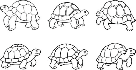 Set of tortoise outline vector and illustration line art