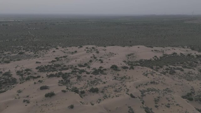 Aerial view of Khuri Sand Dunes near Jaisalmer, Rajasthan, showing dunes blending into green desert vegetation with Khejri, Rohida, Babool & Ker trees extending to the horizon under soft evening light