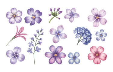 Hand painted spring wildflower mix with lilac and blue tones.