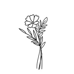 hand drawn minimalist line art drawing