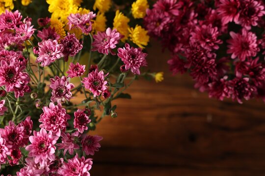 Beautiful pink and yellow chrysanthemum flowers on wooden table, flat lay. Space for text