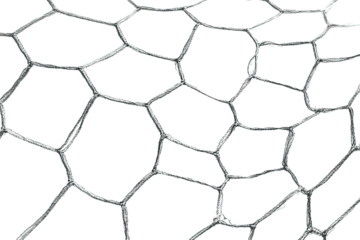 Abstract pattern of interconnected polygons.  Complex grid
