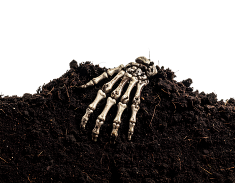Partially buried skeleton hand breaking through the ground surface, isolated on a transparent background with visible dirt texture