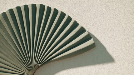 palm leaf large circular and heavily segmented, strong linear pattern, dry weathered texture, muted earth tone green, isolated, casting a distinct sharp graphic shadow onto the white surface, 