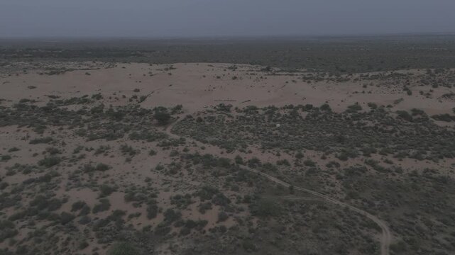 Aerial view of Khuri Sand Dunes near Jaisalmer, Rajasthan, showing golden dunes with a winding path running through green desert vegetation like Khejri, Rohida, and Babool trees under a cloudy evening
