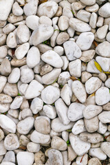 Smooth white decorative pebbles forming a natural textured surface for garden landscaping and zen designs