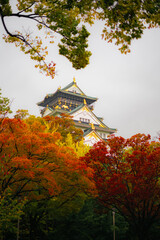 Obraz premium Osaka Castle Peak Framed by Vibrant Autumn Foliage in Japan