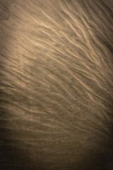 Soft wave-like patterns on a dimly lit surface creating warm abstract texture with subtle evening shadows