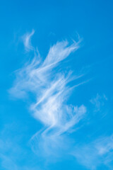 Fototapeta premium blue sky and clouds