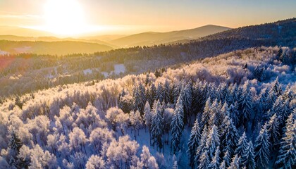 Snow-covered forest against a sunny sky and distant mountains, creating a serene winter landscape