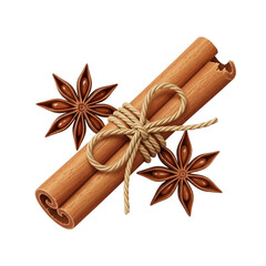 Single Cinnamon Stick Tied with Jute Rope and Star Anise Isolated on White Background