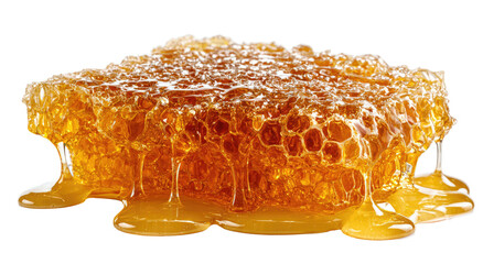 Honeycomb dripping with golden honey