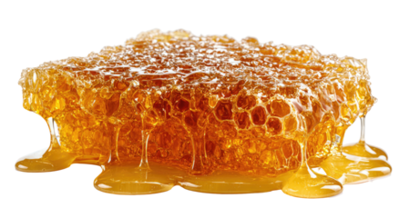 Honeycomb dripping with golden honey