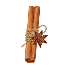 Single Cinnamon Stick Tied with Jute Rope and Star Anise Isolated on White Background