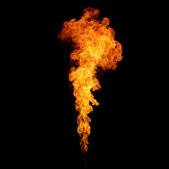 Isolated Torch flame white background 