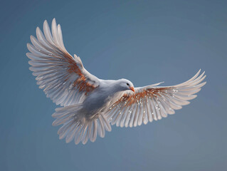 Obraz premium Dove in Flight: A pristine white dove, symbolizing peace and hope, soars gracefully against a backdrop of the sky.