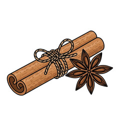 Single Cinnamon Stick Tied with Jute Rope and Star Anise Isolated on White Background