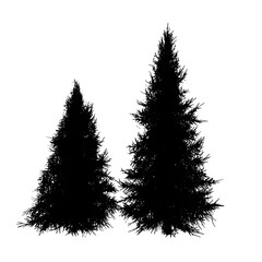 two christmas pine trees silhouette isolated png transparent background