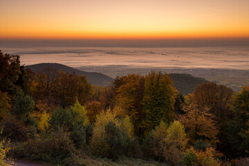Aussicht von der Kalmit in Maikammer bei Sonnenaufgang im Herbst mit Nebel in der Rheinebene