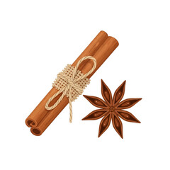 Single Cinnamon Stick Tied with Jute Rope and Star Anise Isolated on White Background