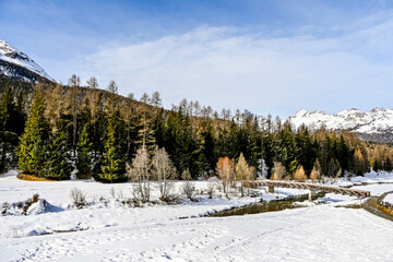 Pontresina, Berninabach, Berninapass, Val Bernina, Winter, Wintersport, Wanderweg, Holzbrücke, Langlauf, Langlaufloipe, Oberengadin, Graubünden, Alpen, Schweiz