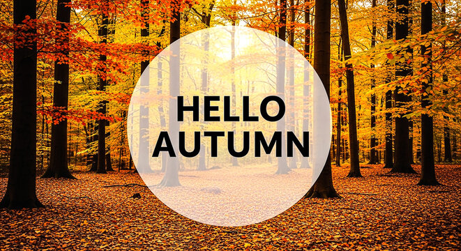 A serene autumn forest with golden leaves, warm hues, and a welcoming message, capturing the essence of fall’s beauty and tranquility.