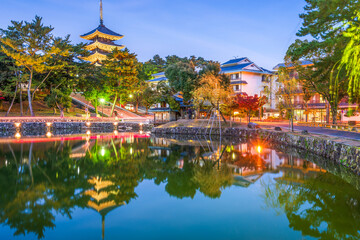 Fototapeta premium Nara, Japan at Sarusawa Pond 191