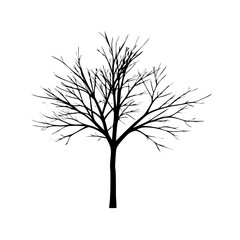 Obraz premium Vector art of a detailed silhouette of a bare tree, its intricate branches creating a complex pattern against the captures winters beauty