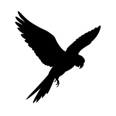 Vector art of silhouette of a parrot in midflight, the birds wings are spread wide, capturing the essence of freedom and the beauty of nature in a simple, elegant design