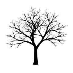 Fototapeta premium Vector art of silhouette of a bare tree, its branches reaching towards the sky, creating an intricate network of lines against the stark white backdrop, evoking a sense of winter