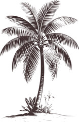 Black and white palm tree illustration tropical nature