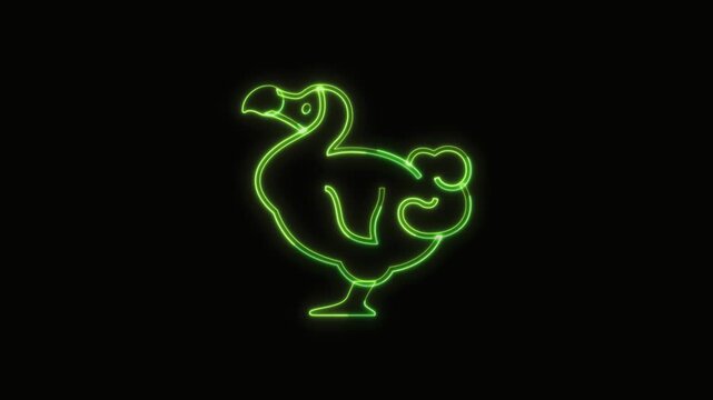 Dodo Animal Icon Neon Seamless Loop 4K with Black Background Animated Promotional Typography for Video Editing