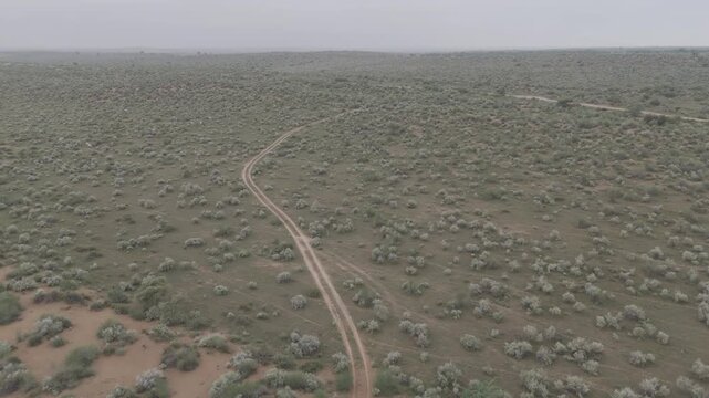 Aerial shot of the Thar Desert near Jaisalmer, Rajasthan, captured on a monsoon morning after rain, showing a sandy path winding through green desert vegetation like Khejri, Rohida, Babool, & Ker tree