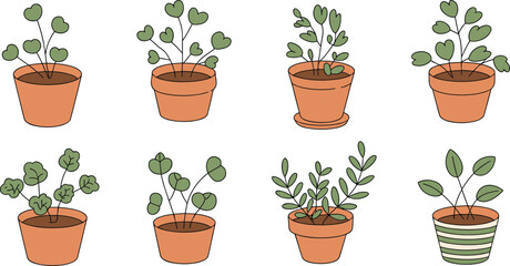 Potted houseplants, terracotta containers, leaf variety, cozy decor, indoor greenery, plant comparison, botanical styling, foliage shapes, decorative arrangement