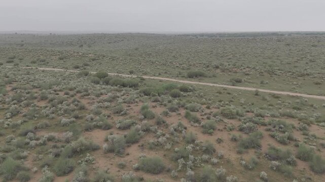 Aerial shot of the Thar Desert near Jaisalmer, Rajasthan, captured on a monsoon morning after rain, showing a sandy path winding through green desert vegetation like Khejri, Rohida, Babool, & Ker tree