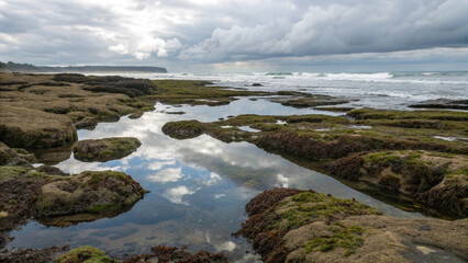 Peaceful Water Surface with Reflections