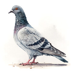 A single grey dove of peace rests on a branch, a beautiful wildlife portrait showing the bird's feathers and beak