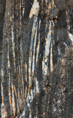 Close up of rock surface, gneissic banding, alternation of mafic and felsic minerals