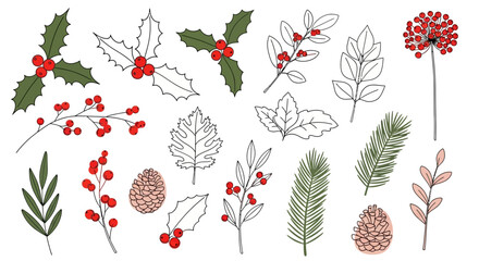 Hand-drawn winter botanical collection featuring festive foliage, vibrant holly berries, natural pine branches, and assorted decorative leaves, perfect for holiday-themed designs