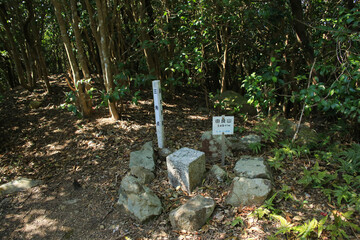 愛媛県愛南町　由良山三角点