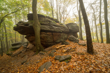 Felsenmeer auf der Kalmit in Maikammer im herbstlichen Nebel im Pfälzerwald